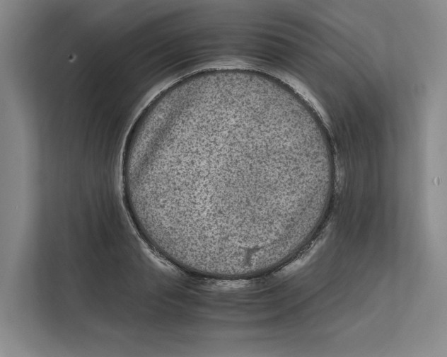 X0000111810845200908201109