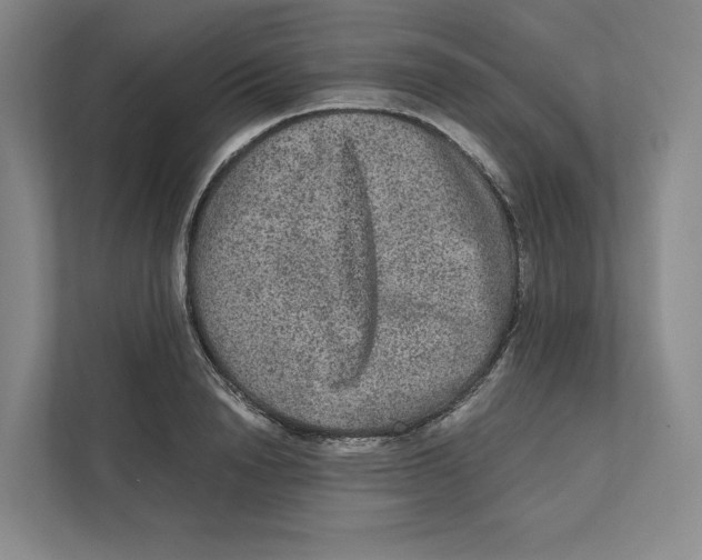 X0000111810846200908201109