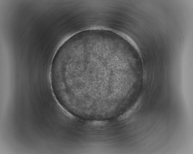 X0000111810847200908201109