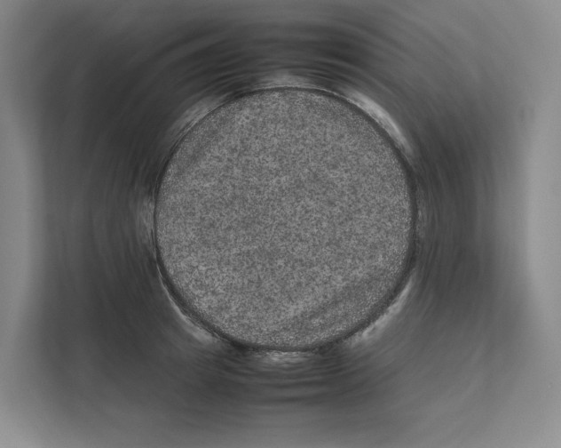 X0000111810849200908201109