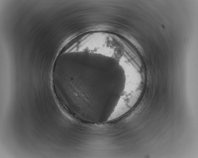 X0000111810850200908201109