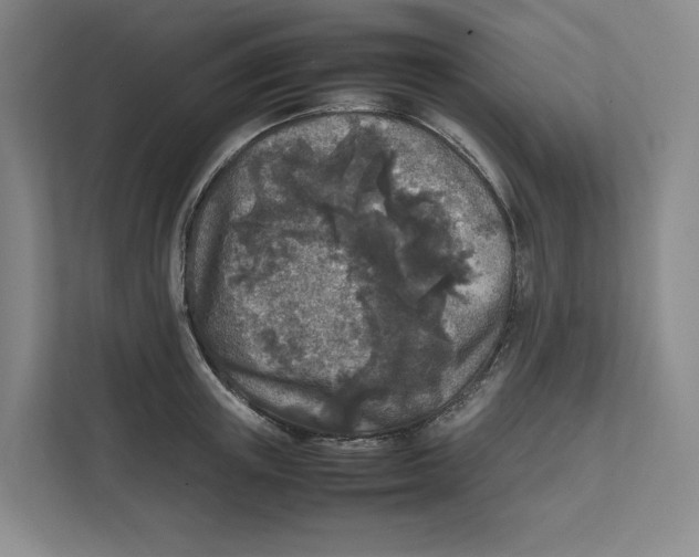 X0000111810851200908201109