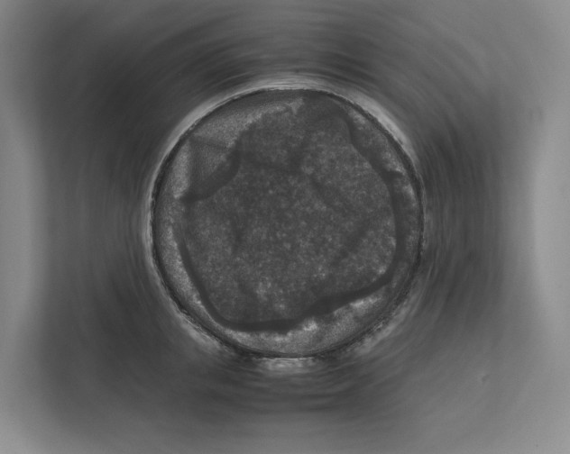 X0000111810853200908201109