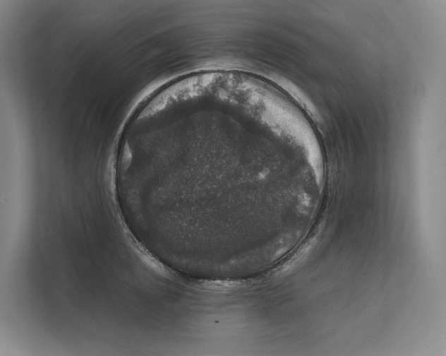 X0000111810854200908201109