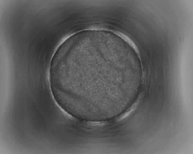 X0000111810855200908201109
