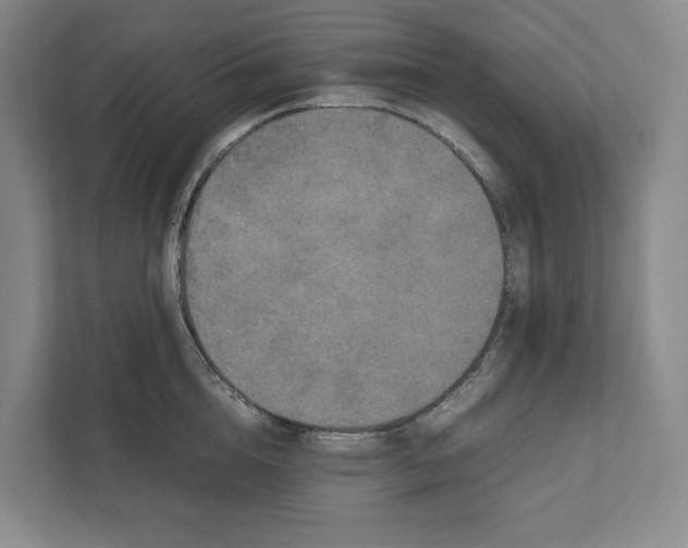 X0000111810856200908201109