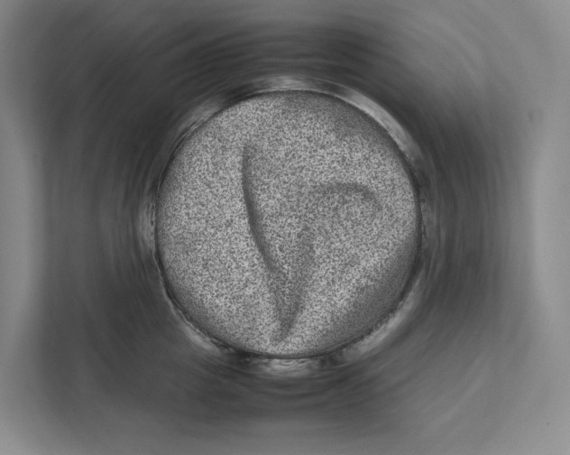 X0000111810857200908201109