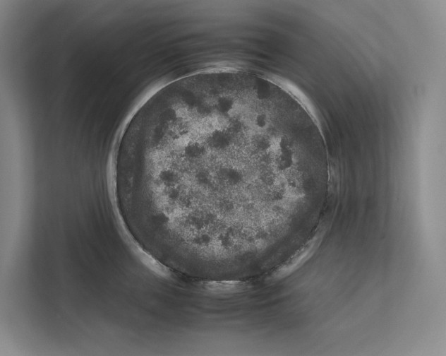 X0000111810859200908201109