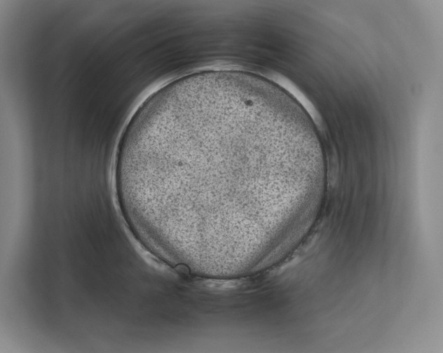 X0000111810861200908201109