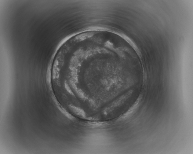 X0000111810862200908201109