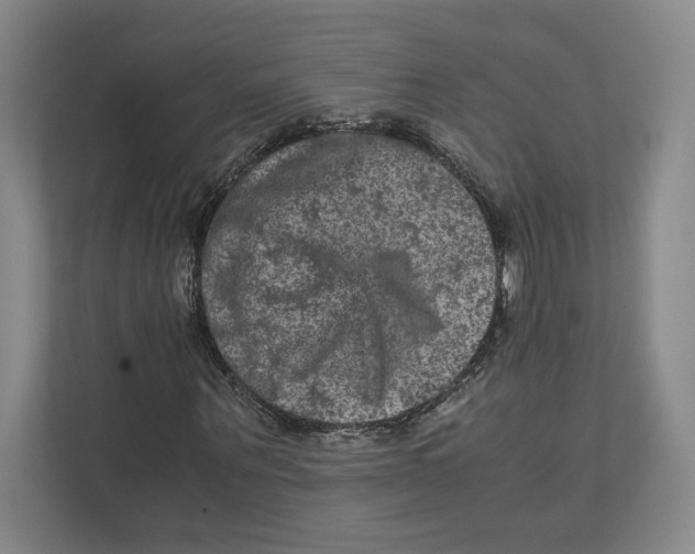 X0000111810867200908201108
