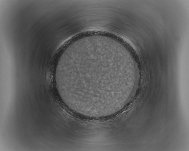 X0000111810872200908201108