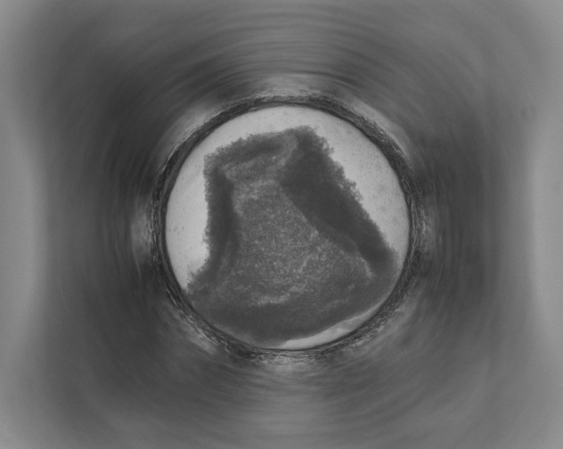 X0000111810874200908201108