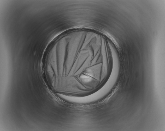 X0000111810876200908201108