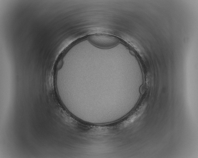 X0000111810877200908201108