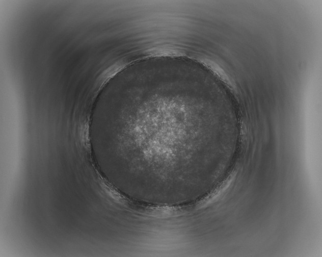 X0000111810881200908201108