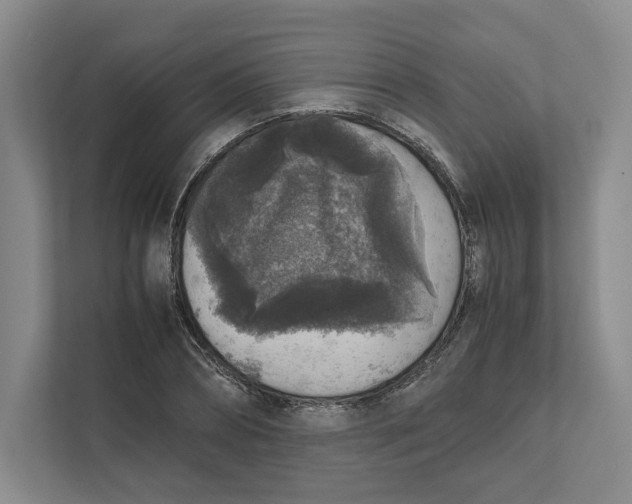 X0000111810882200908201108