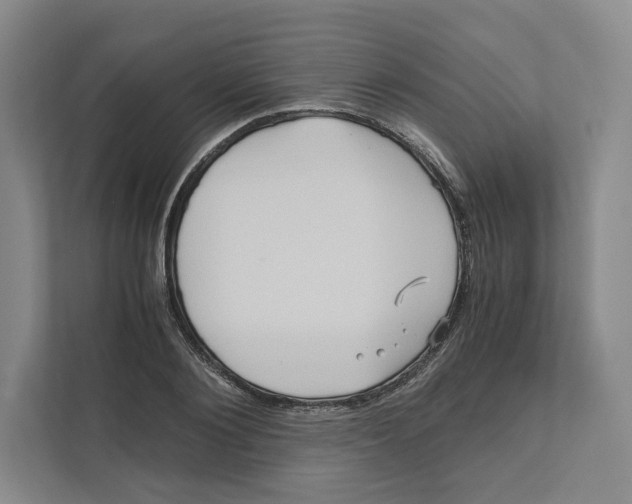 X0000111810884200908201108