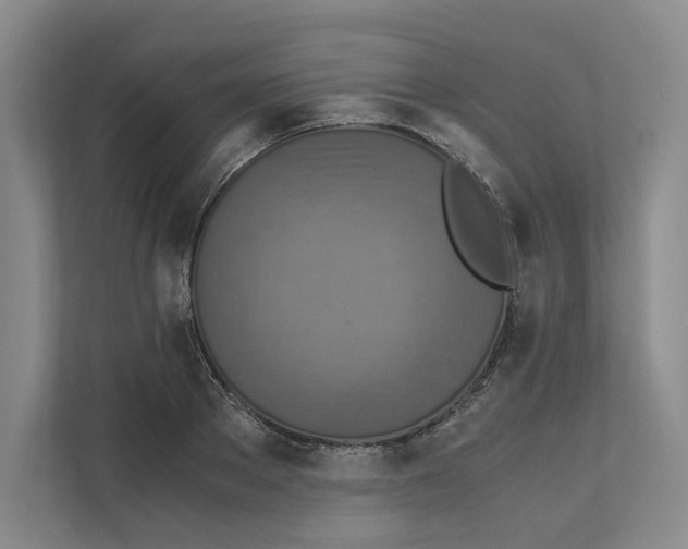 X0000111810889200908201108