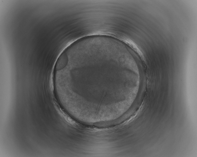 X0000111810892200908201108