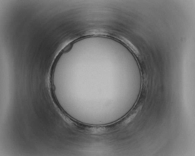 X0000111810893200908201108