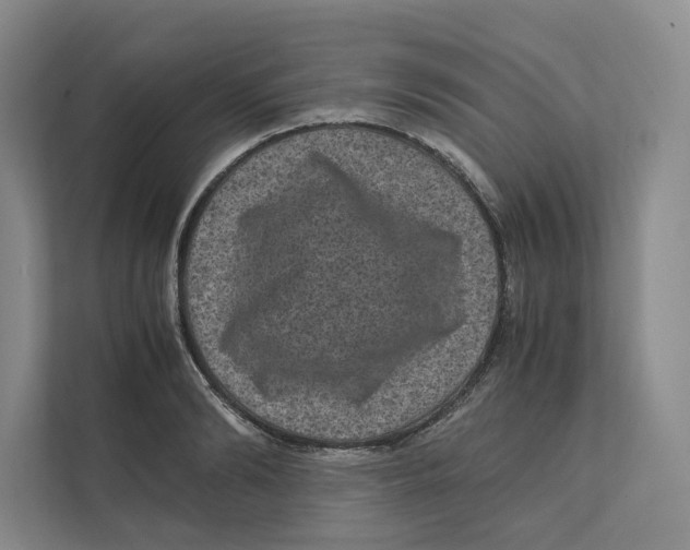 X0000111810894200908201108