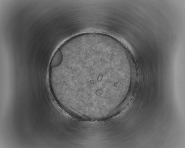 X0000111810896200908201108