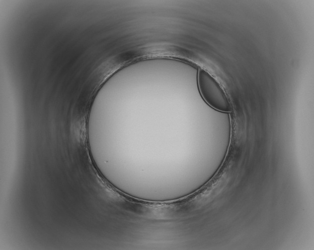 X0000111810897200908201108