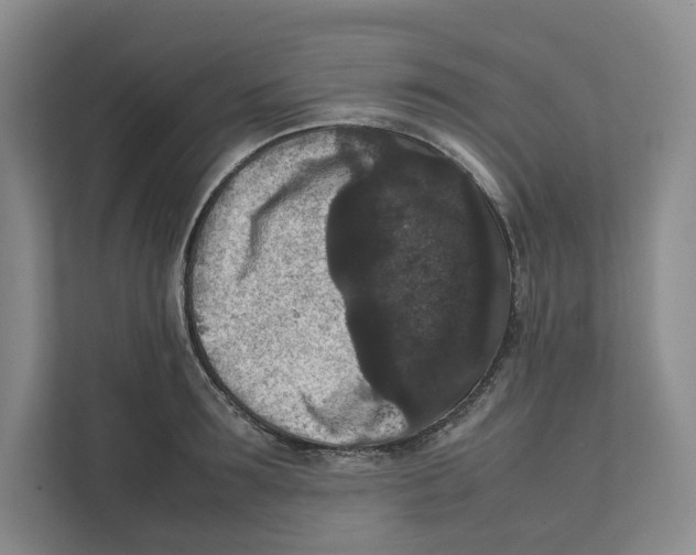X0000111810899200908201108