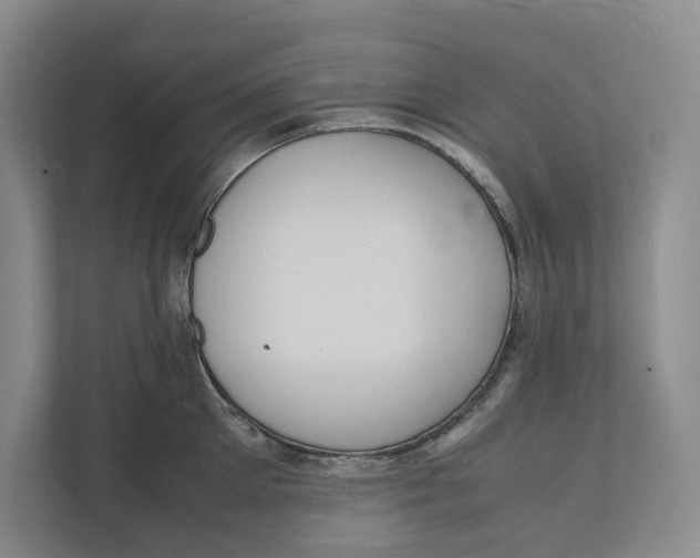 X0000111810905200908201108