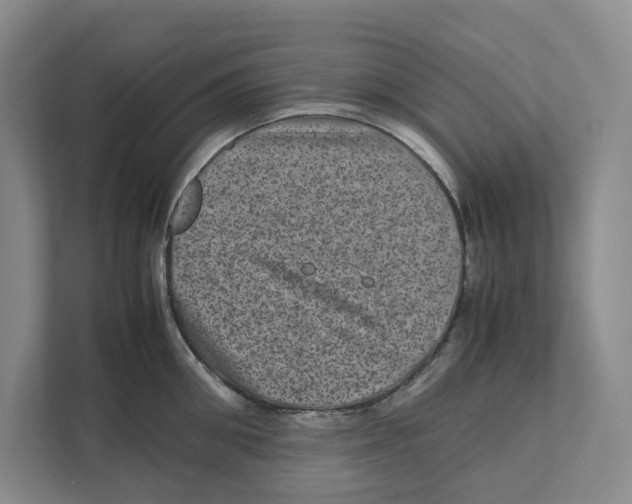 X0000111810906200908201108