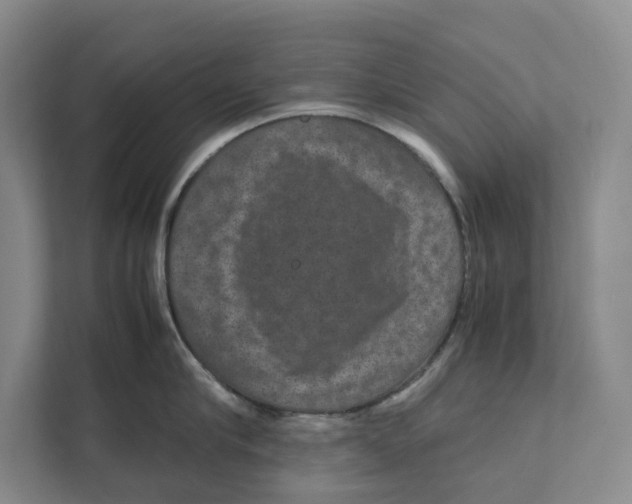 X0000111810910200908201108