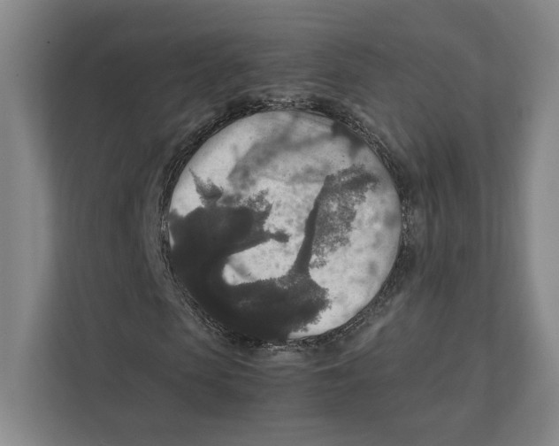 X0000111810913200908201107