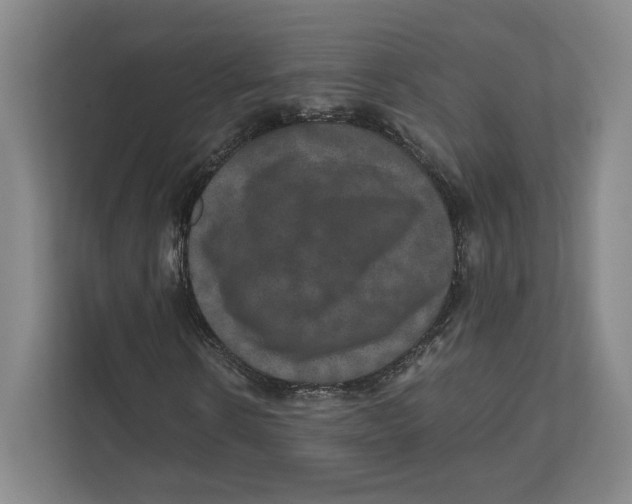 X0000111810914200908201107