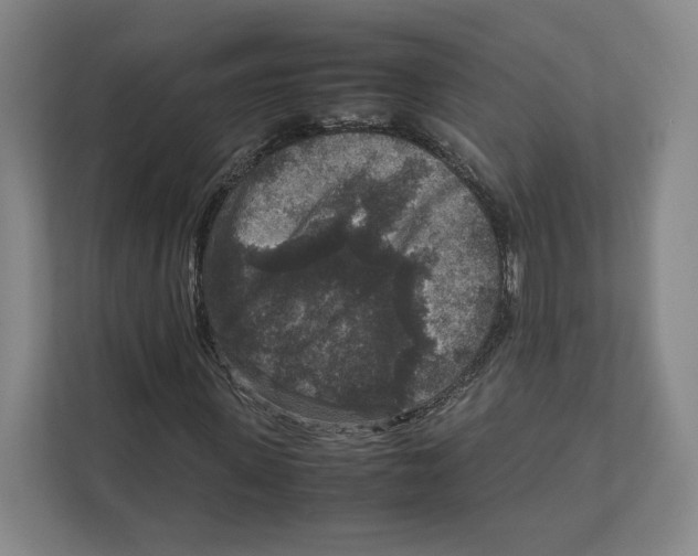 X0000111810915200908201107