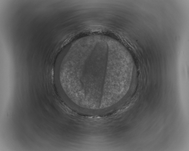X0000111810916200908201107