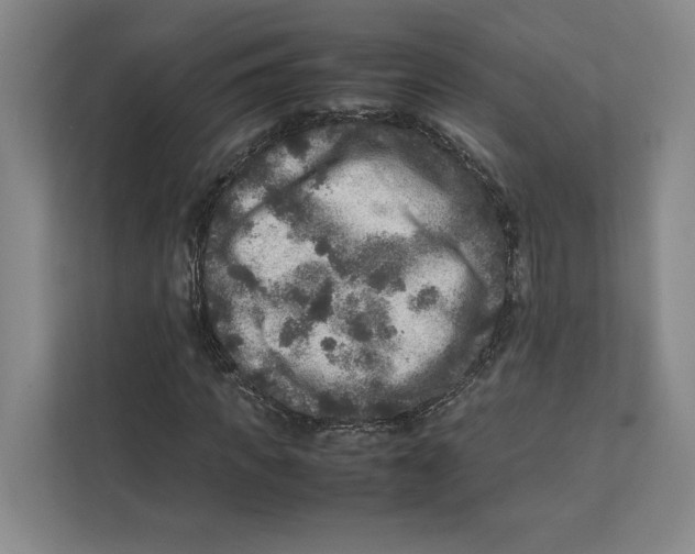 X0000111810917200908201107