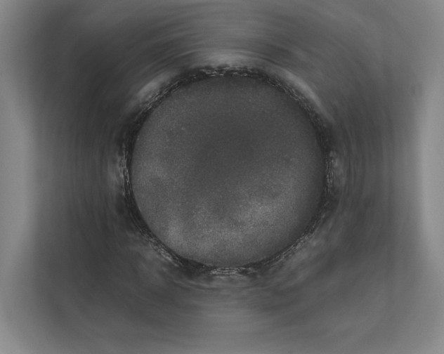 X0000111810918200908201107