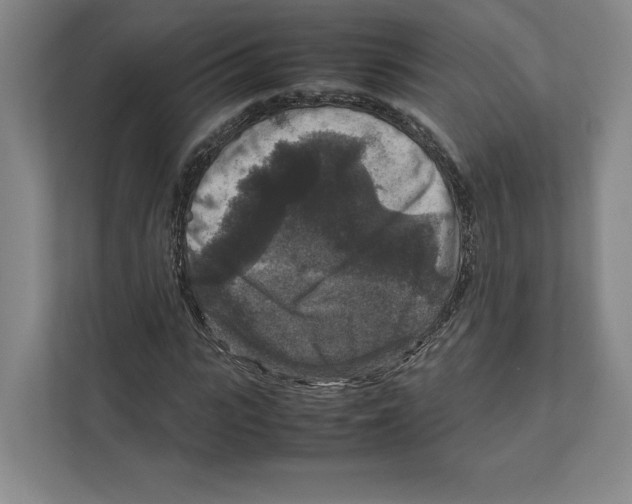 X0000111810919200908201107