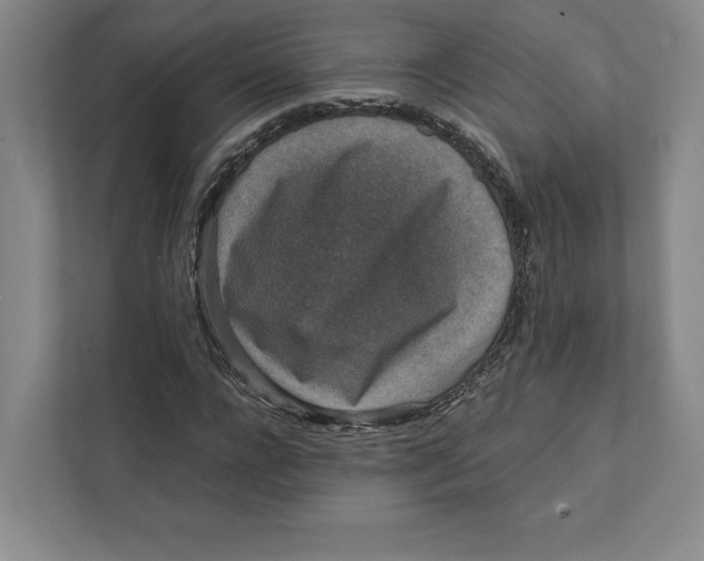 X0000111810920200908201107