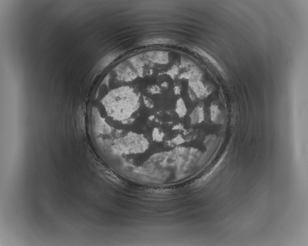 X0000111810921200908201107