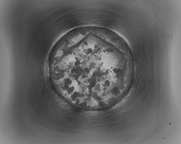 X0000111810925200908201107