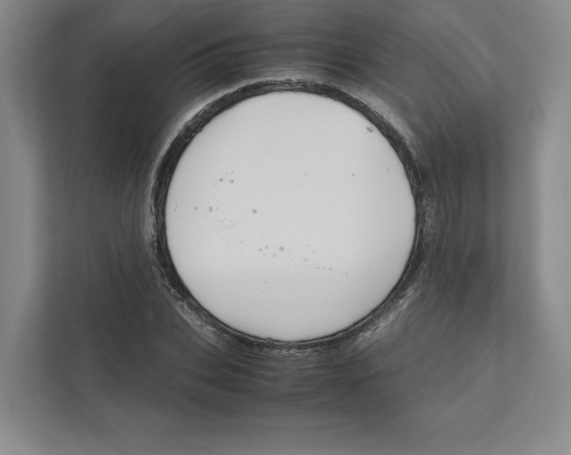X0000111810927200908201107
