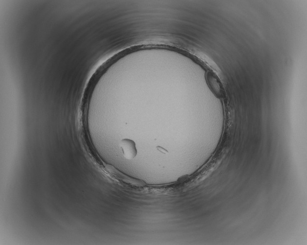 X0000111810928200908201107