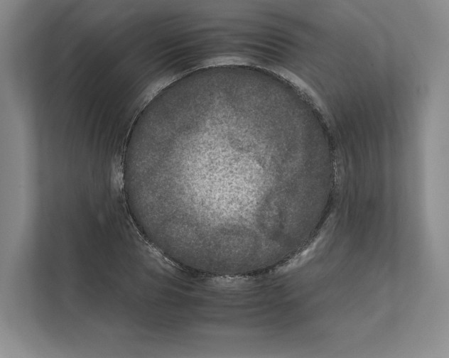 X0000111810929200908201107