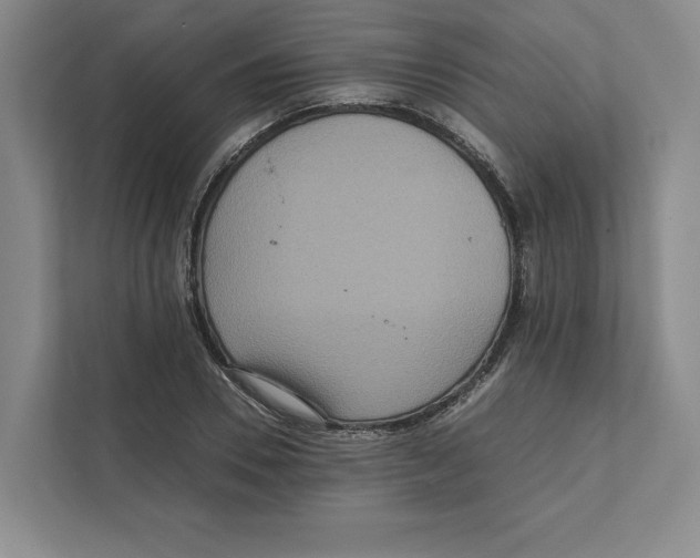 X0000111810930200908201107