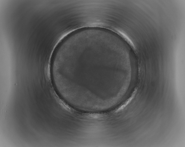 X0000111810932200908201107