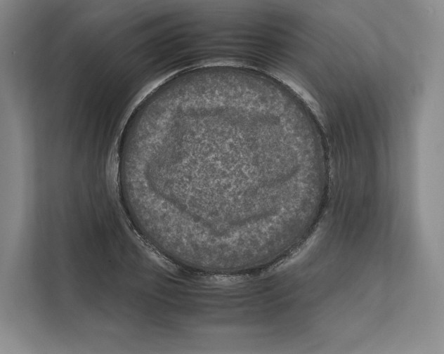 X0000111810933200908201107