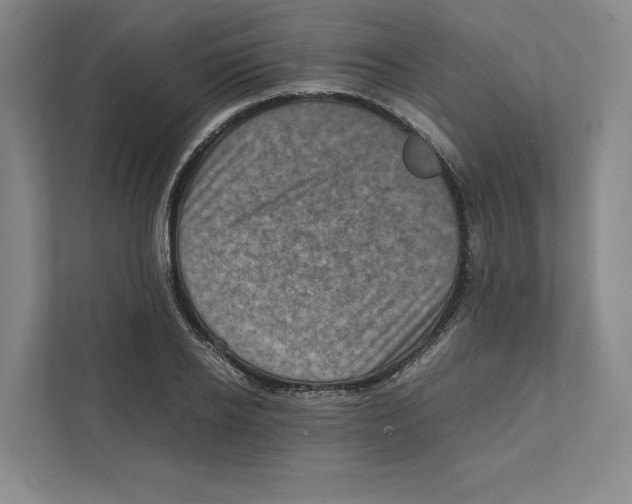 X0000111810934200908201107