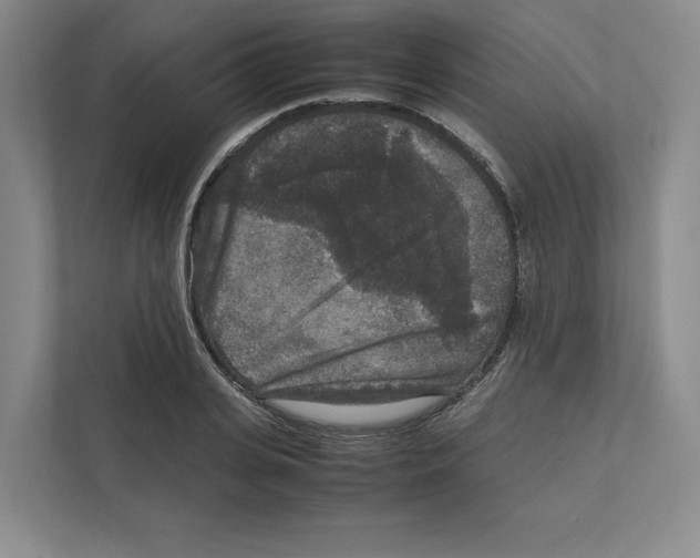 X0000111810935200908201107